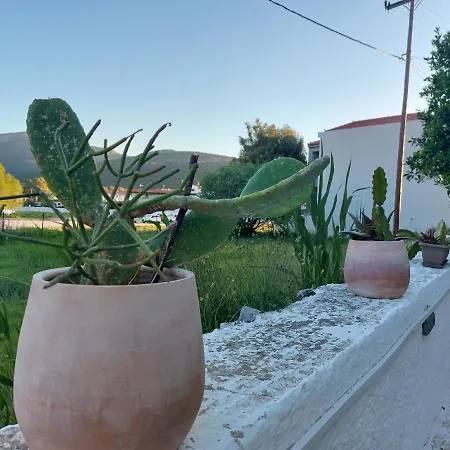 Vιtamin Sea 8, απολαυστική διαμονή στον αλμυροπόταμο!