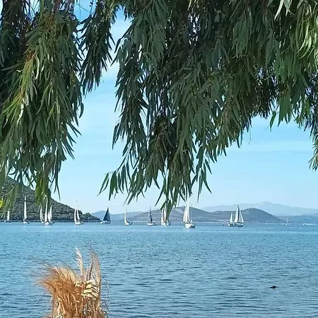 Apartment Vιtamin Sea 8, απολαυστική διαμονή στον αλμυροπόταμο!